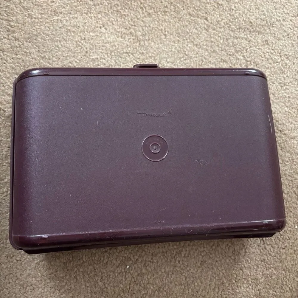 Tupperware 1624-2 Personal Travel Case Valet With Accessories